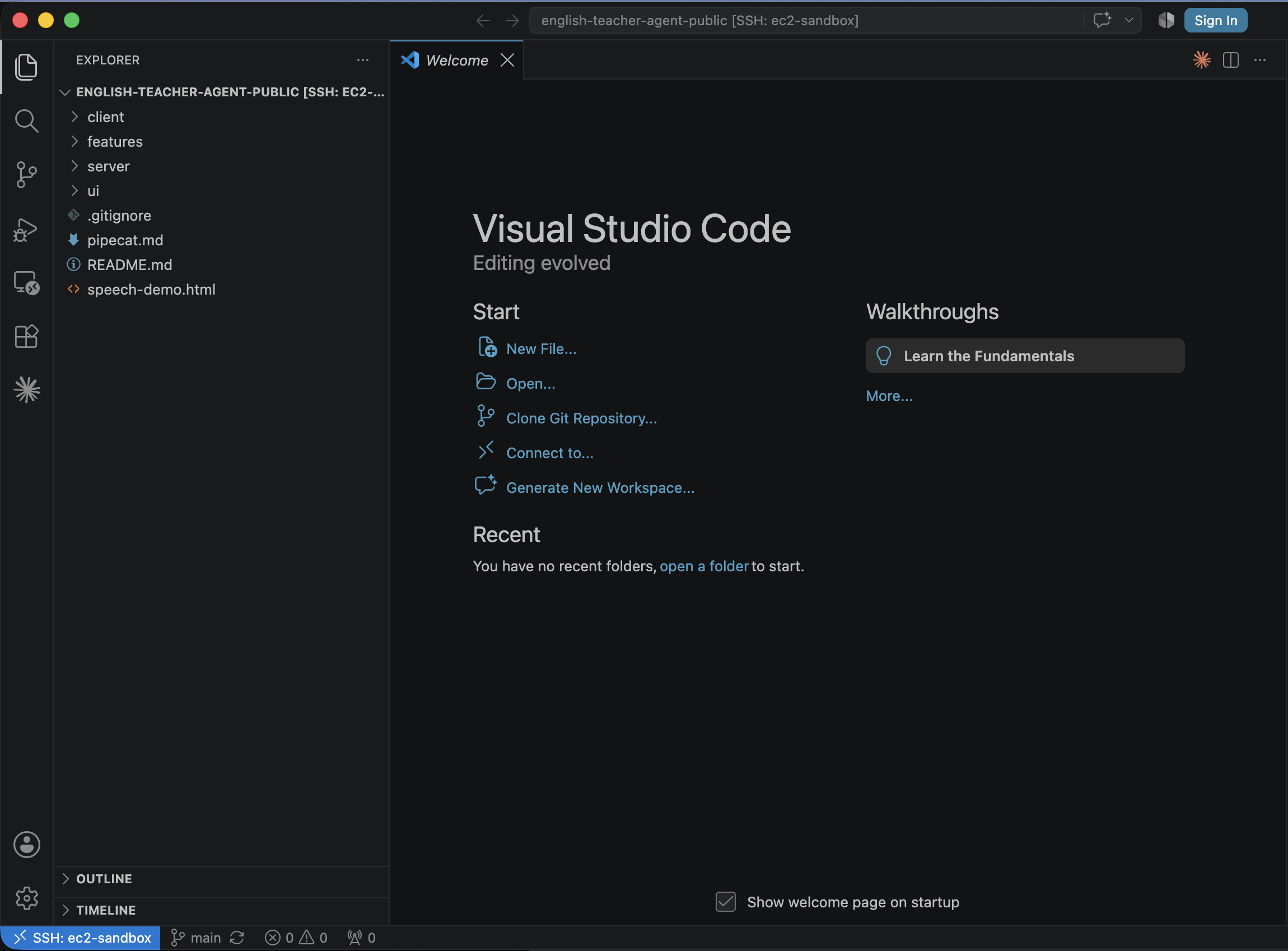 VS Code Remote-SSH with a repo cloned on the ec2-sandbox instance